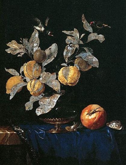 Aelst, Willem van with Fruit Sweden oil painting art